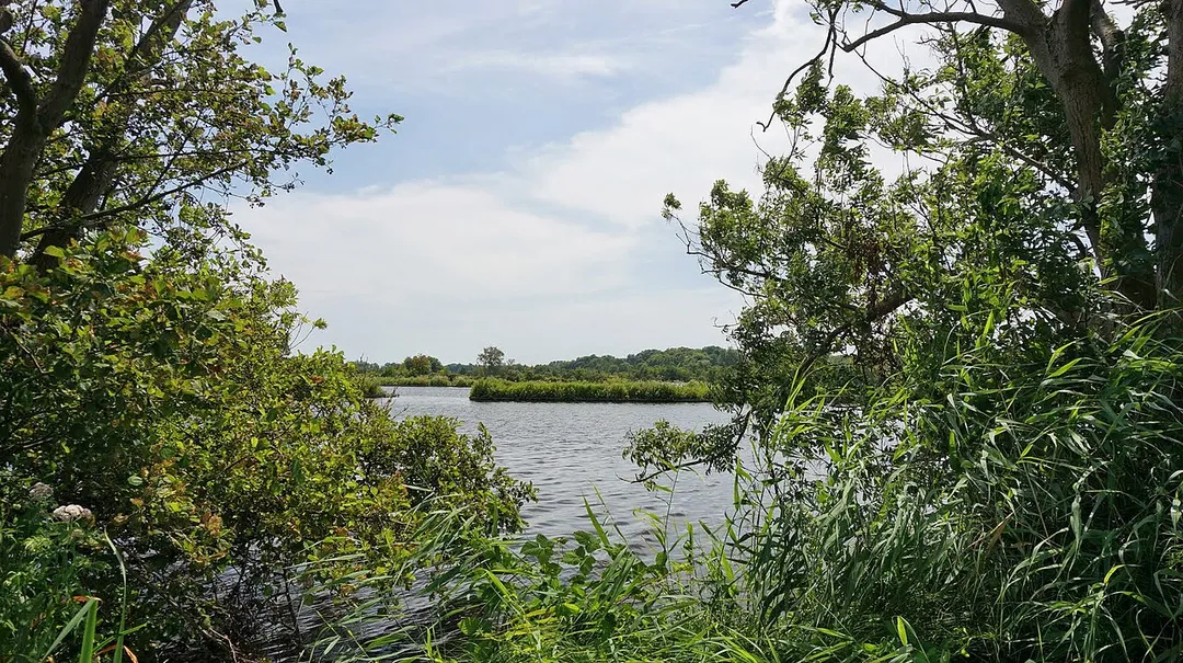 1231 Loosdrecht, Netherlands