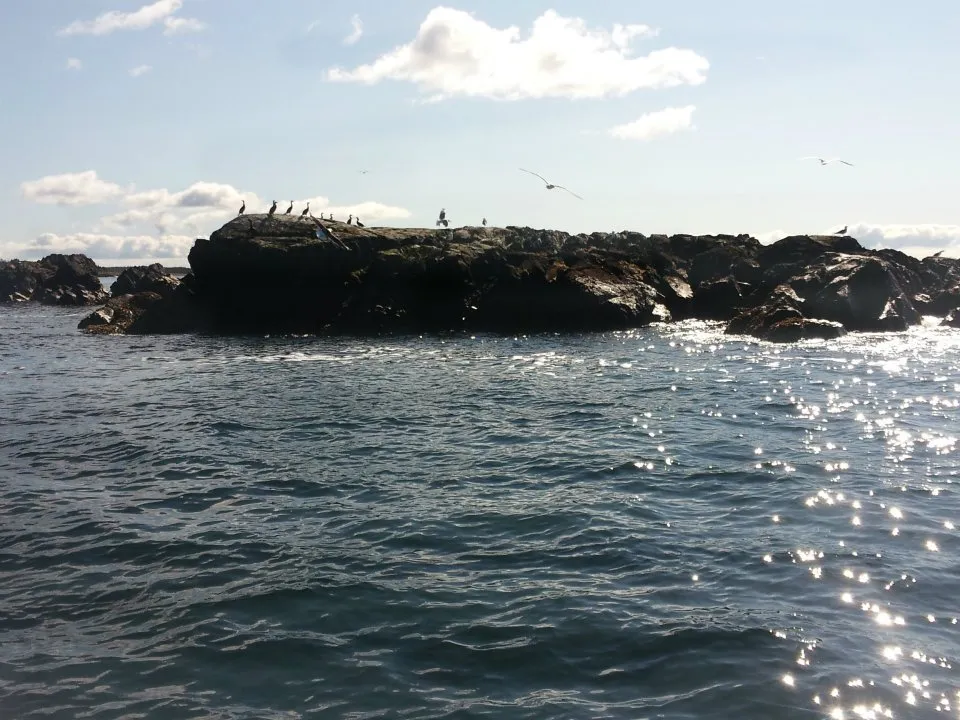 Little Lorraine Harbour