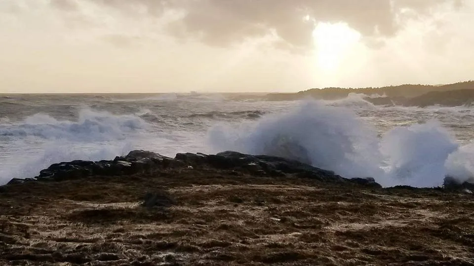 Gooseberry Cove