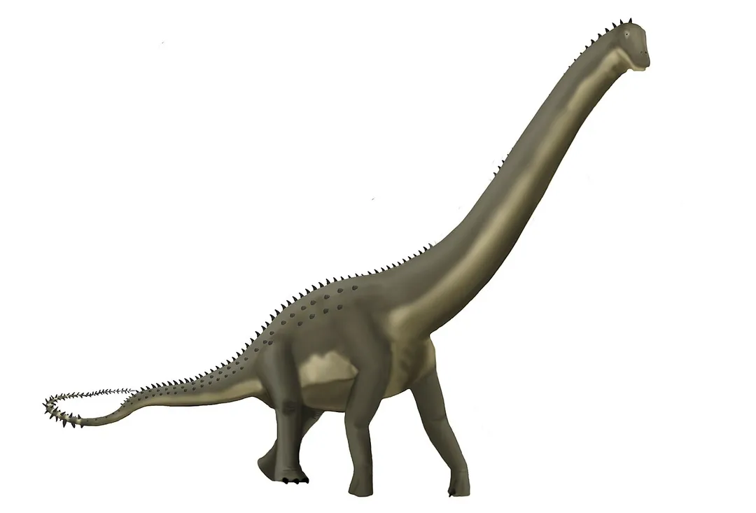Hypothetical restoration of Dinheirosaurus lourinhanensis