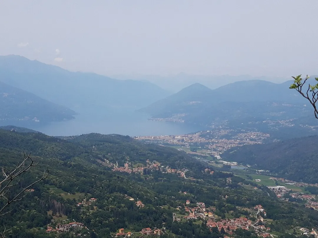 Luino
