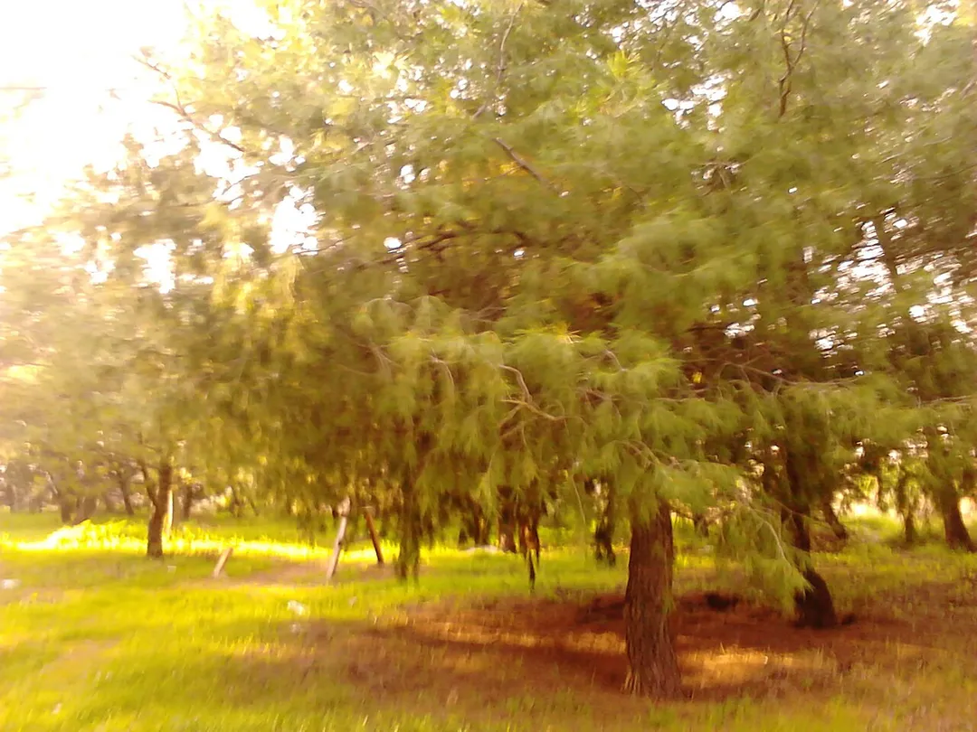 Lykovrysi, Greece