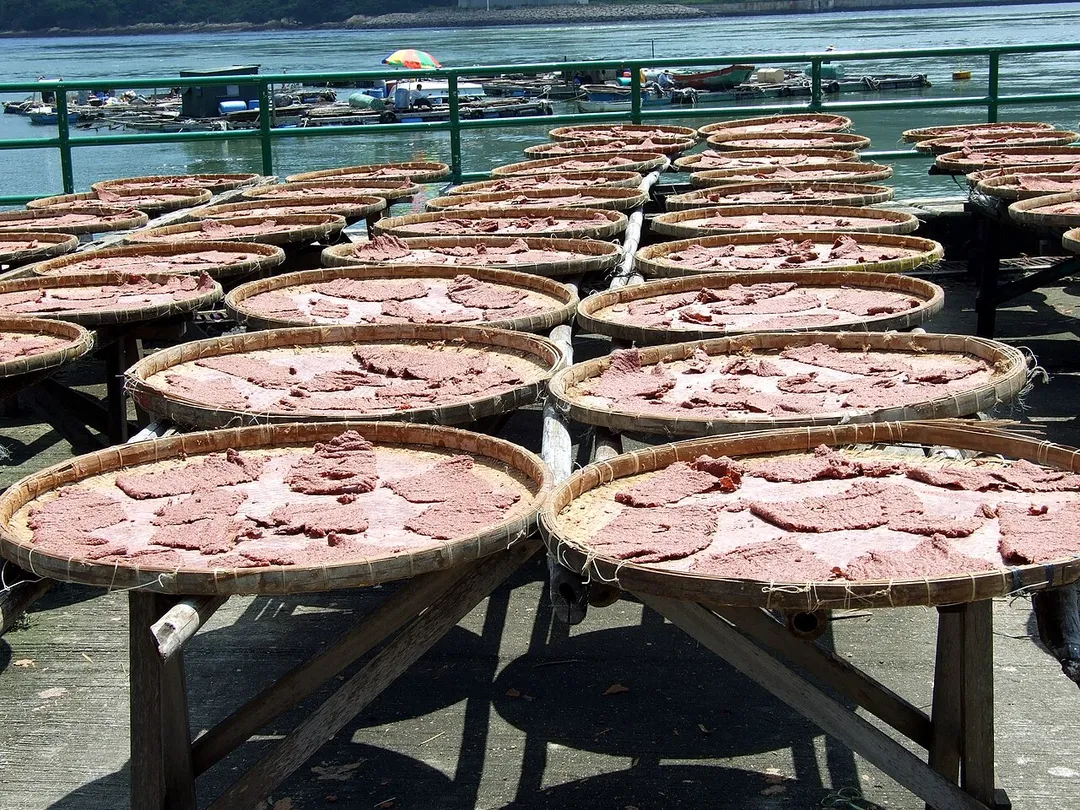 Shrimp paste drying in Hong Kong