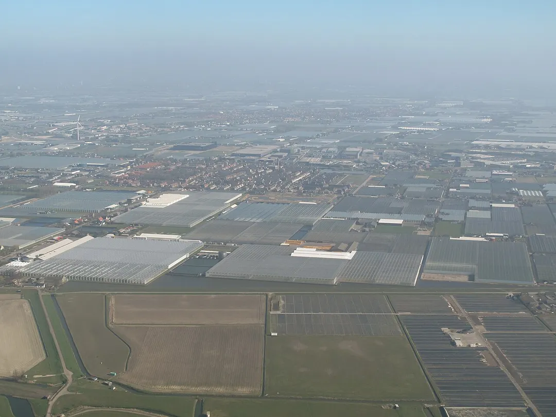 Maasdijk, view to the village with greenhouses in the front