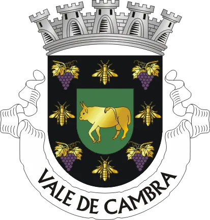 Photo of Macieira de Cambra