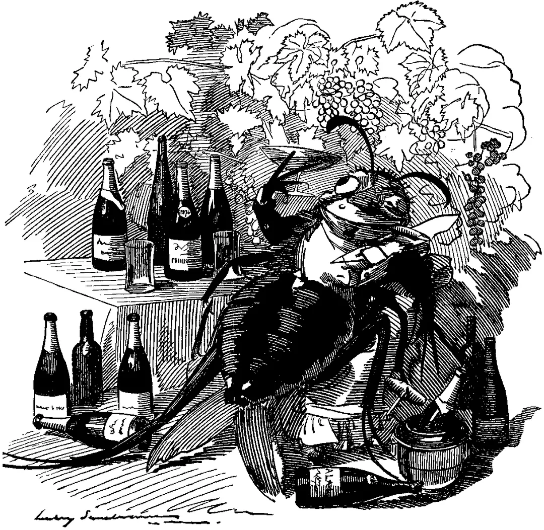 FANCY PORTRAIT. "THE PHYLLOXERA, A TRUE GOURMET, FINDS OUT THE BEST VINEYARDS AND ATTACHES ITSELF TO THE BEST WINES."