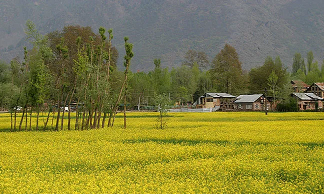 Kashmir during Spring season.