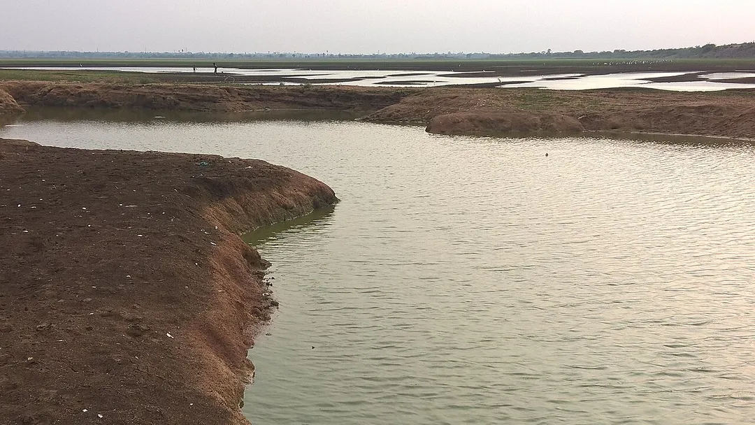 This was taken at a lake called Malkapur Pedda cheruvu