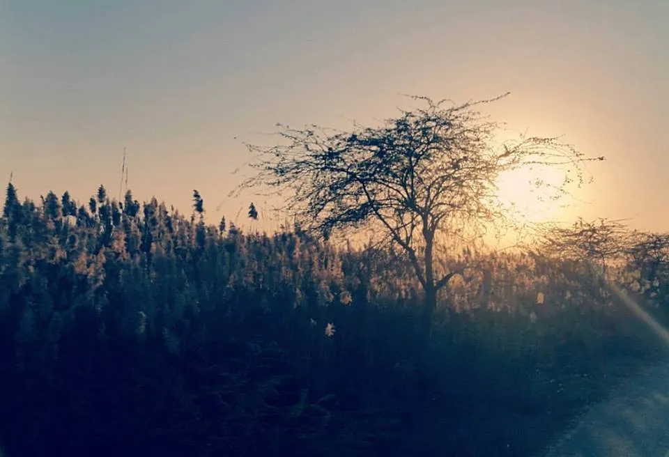 sunset enroute malout