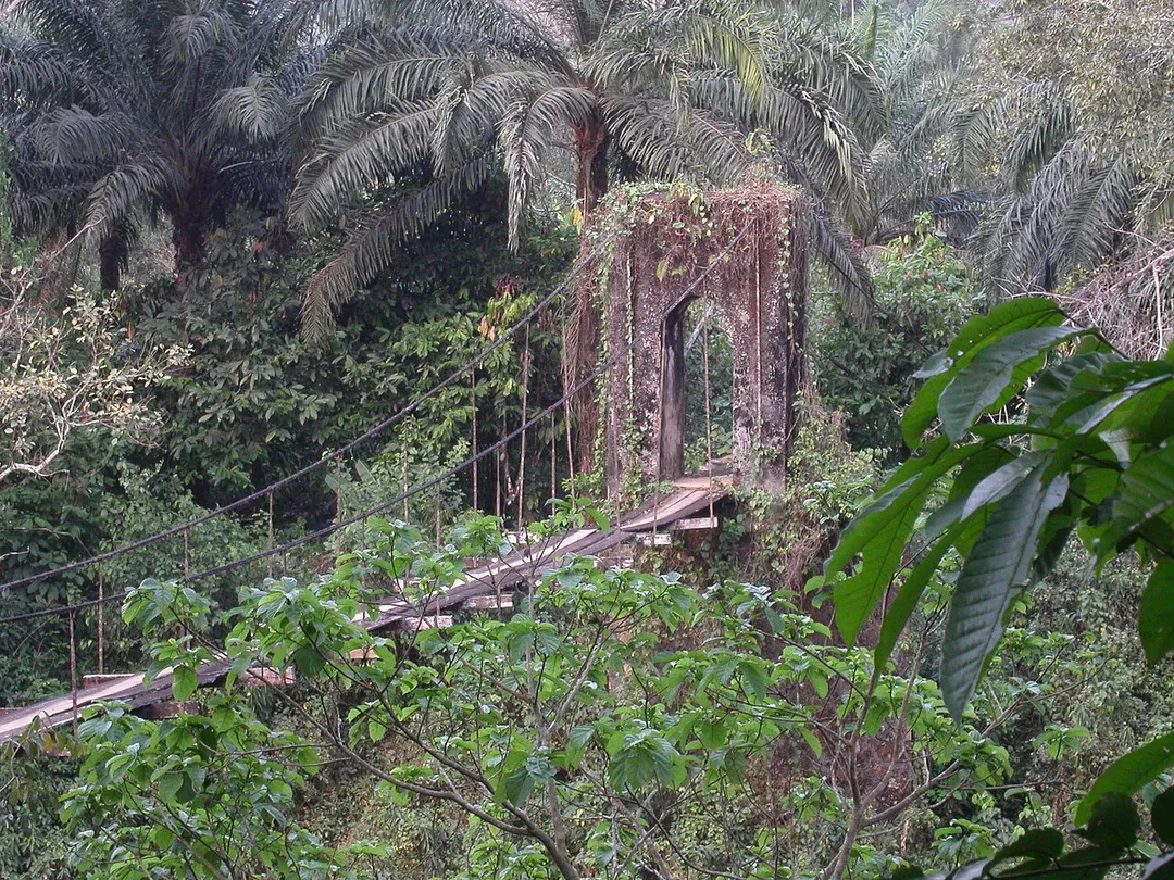 The old bridge in Mamfe, Cameroon, built during german colonisation time (before world war 1). It is still in use but I did not dare walk it. River Cross underneath with hippos and crocodiles.