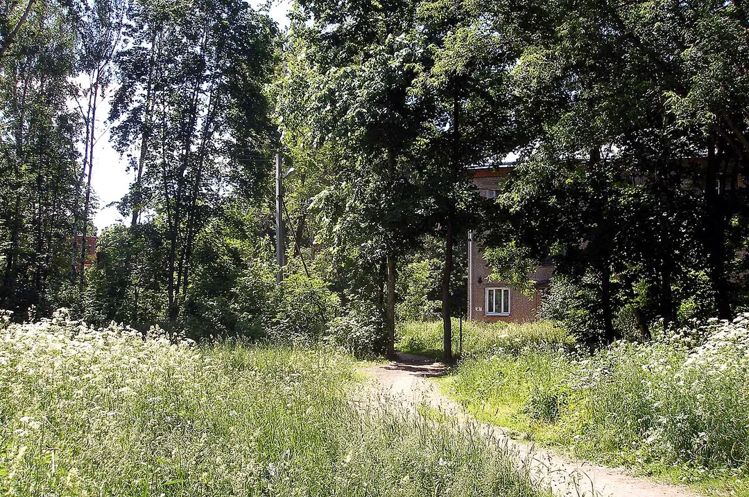 Летний полдень в Мамонтовке.