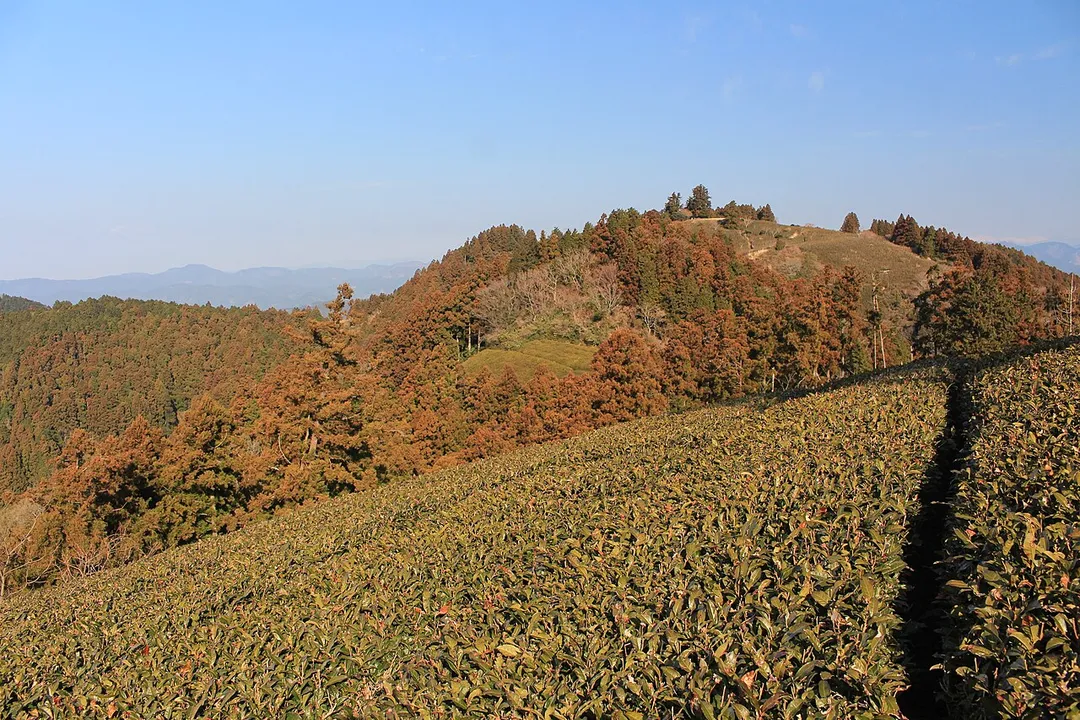Mount Mankan (Mankan-hō) seen from south in Suruga-ku, Shizuoka and Yaizu, Shizuoka prefecture, Japan.