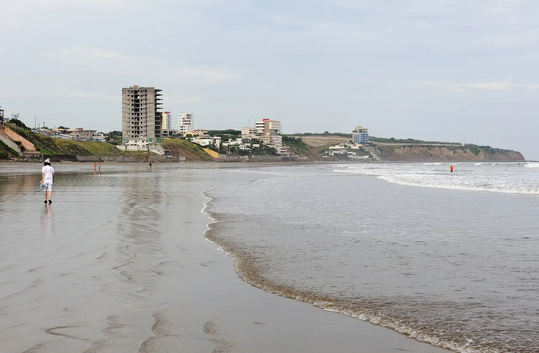 Photo of Manta