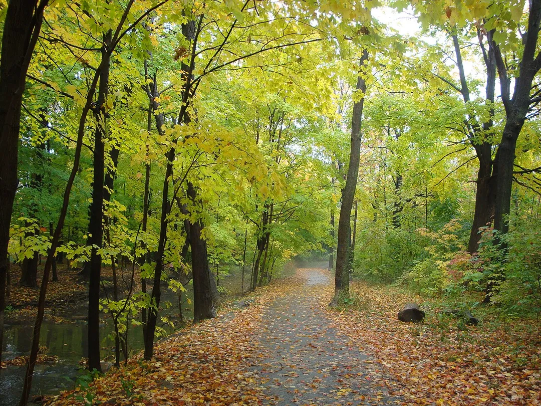 Bloordale Park in the Markland Wood area of Toronto