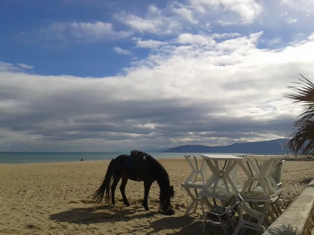 Morning in the beach of Martil