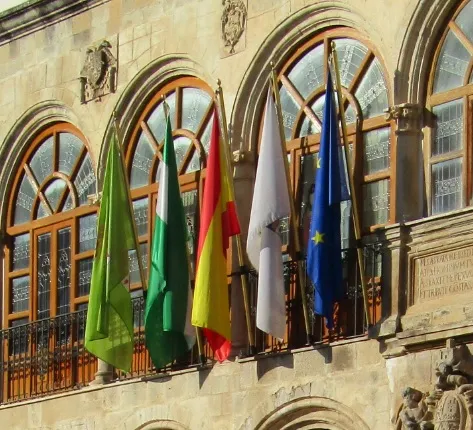 Flags on the town hall facade.