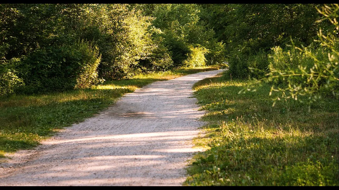 A quiet, shaded path in the Massapequa Preserve that's perfect for the mind to wander...