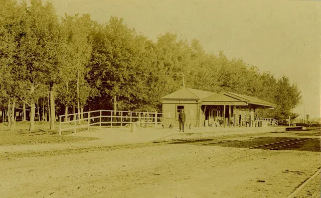 Plantations of oak, larch, chestnut and ash were established near other railway stations but Matamata’s is the sole survivor and is registered in Council’s District Plan