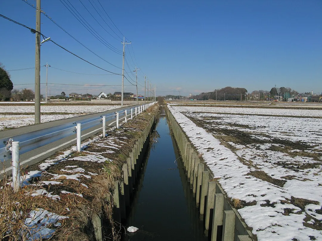 松伏町金杉地区を流れる金杉大排水路。上流方向を望む。（埼玉県北葛飾郡松伏町）