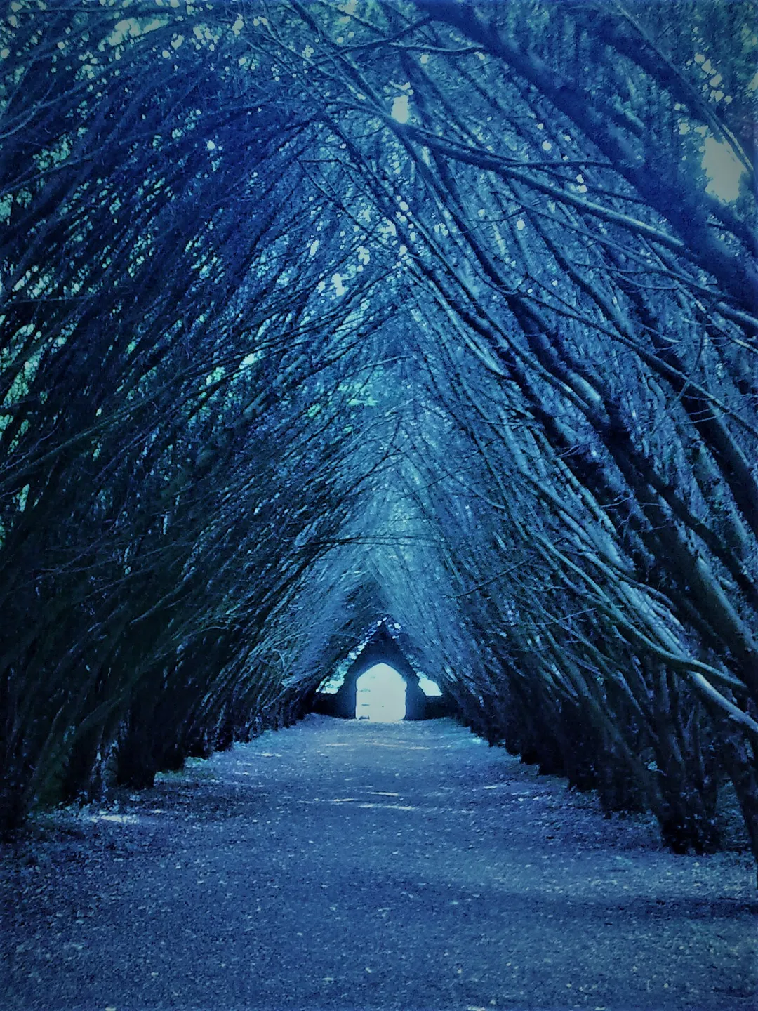 The entrance to the Graveyard on South Campus.