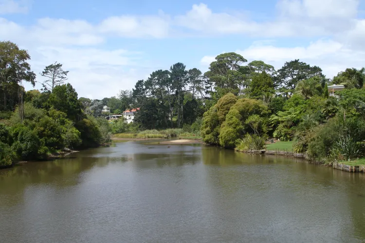 Orakei Creek in Meadowbank, a suburb in Auckland, New Zealand Image for use on pages related to: Meadowbank, Auckland.