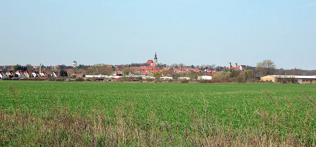 10.04.2009   01616  Strehla (GMP: 51.352264,13.227177): Stadtpanorama von Südosten mit Wasserturm, Kirche und Schloß. 
[DSCN36087.TIF]20090410150DR.JPG(c)Blobelt