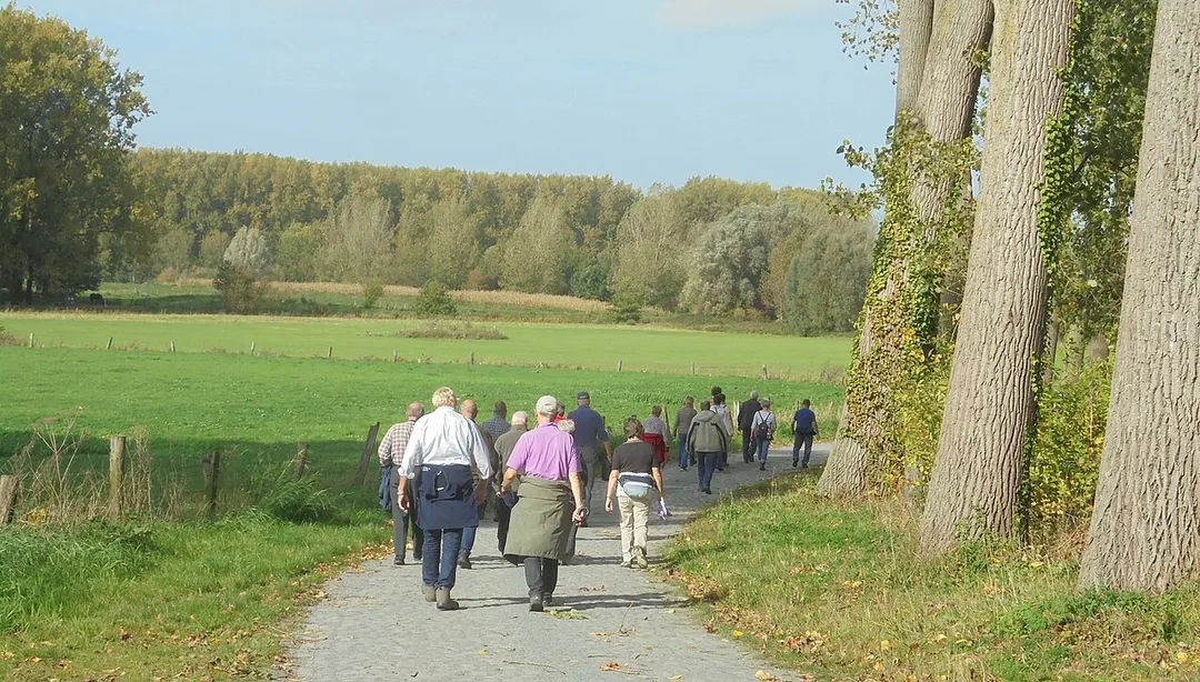 Zicht op de Scheldemeersen van uit de Meersstraat - Melsen - Merelbeke - Oost-Vlaanderen - België