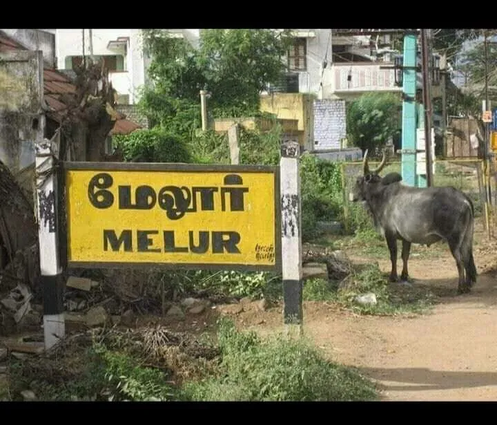 Melur (human settlement in Madurai district, Tamil Nadu, India)