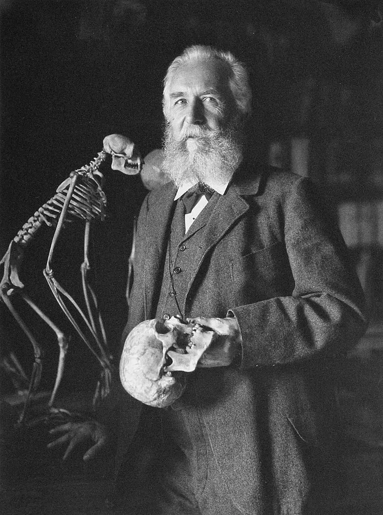 Ernst Haeckel, German biologist and naturalist. Photograph published in Photographische Gesellschaft, 1906.