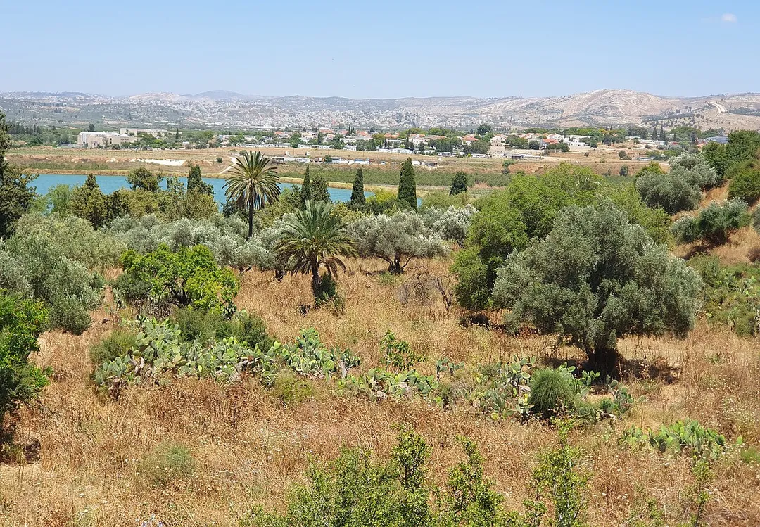 Near the ruins of Castellum Arnaldi in Park Ayalon-Canada, Israel.
