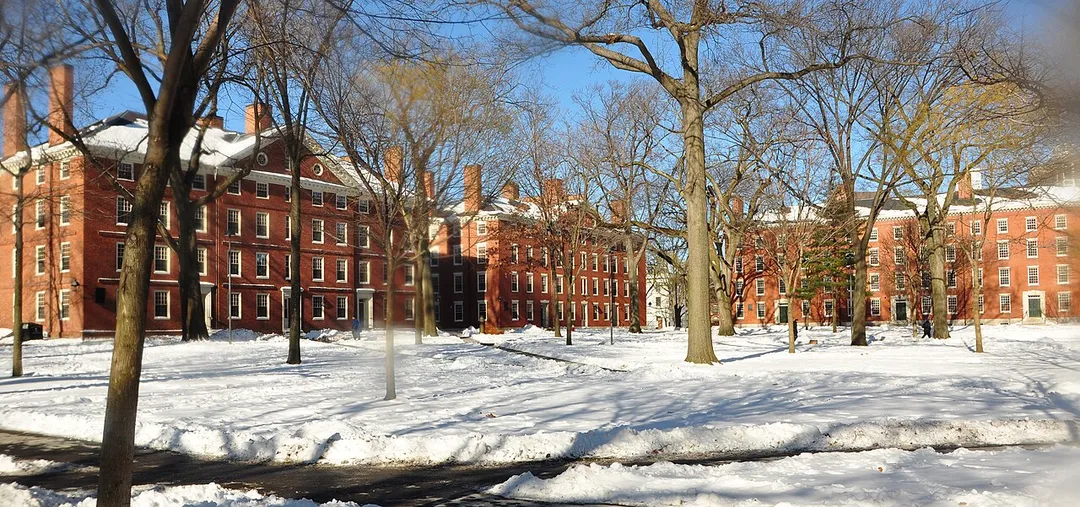 Harvard Yard winter 2009.