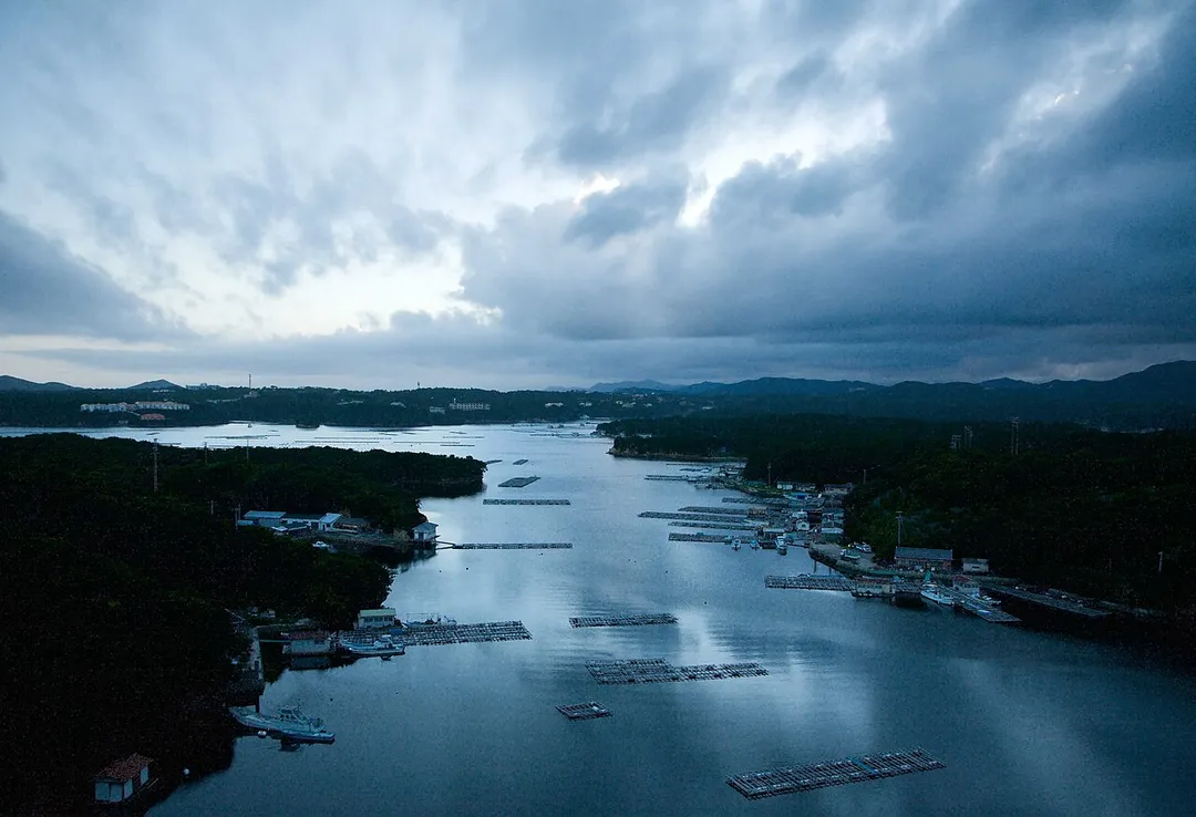 Oyster farms quietly sit atop the mirror-like surface of the river

Needs additional description