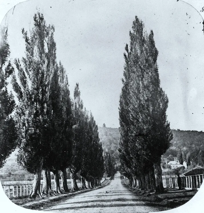 Photograph, Mile End Road, Montreal, QC, 1859, William Notman (1826-1891), Silver salts on paper mounted on card - Albumen process - 7.3 x 7 cm
