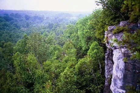 View from the Niagara Escarpment along the Bruce Trail.