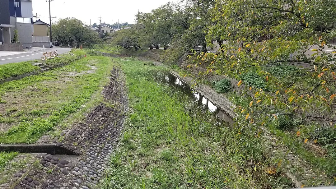 水無瀬町内を流れる水無瀬川の写真です。