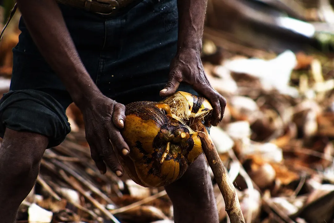 This is an image with the theme "Health and Wellness in Africa" from: