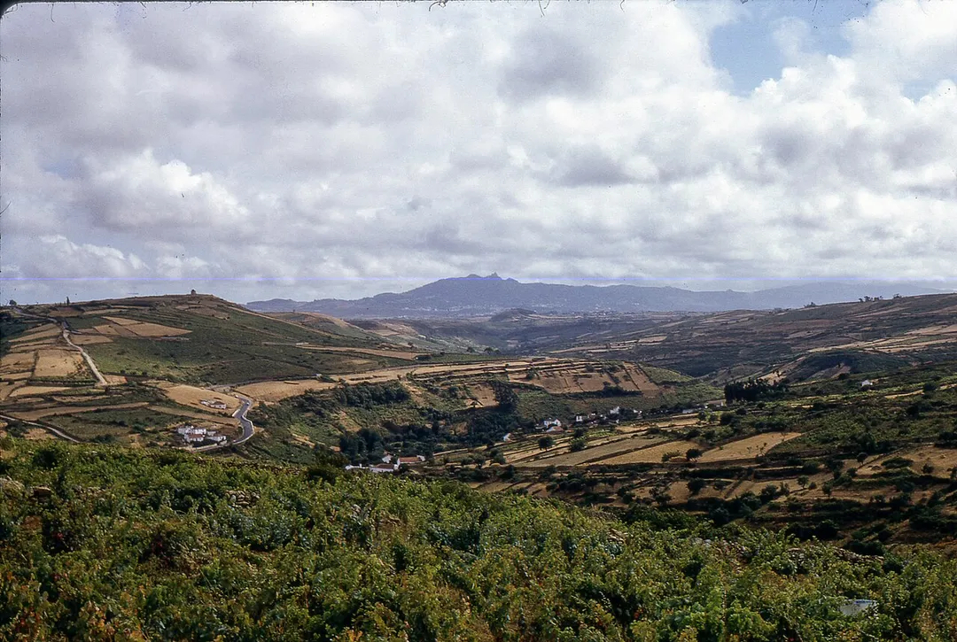 Massif of Estoril o, the road from Mafra to Sintra.