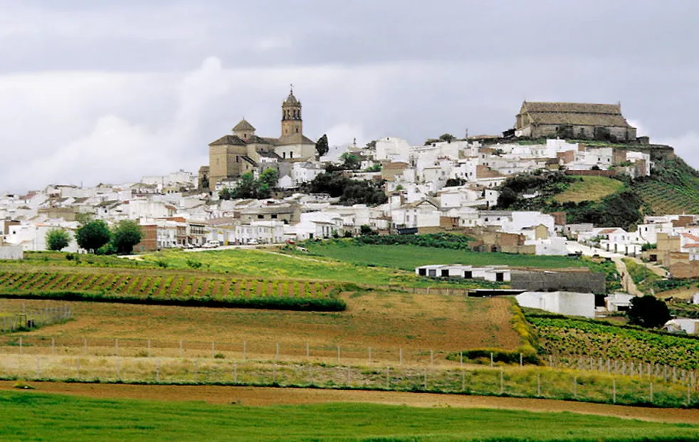 The town and its surroundings. Montilla, Córdoba, Andalusia, Spain