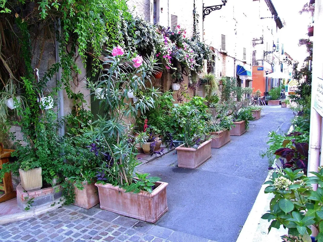 A street in Mouans-Sartoux (Alpes-Maritimes, France).
