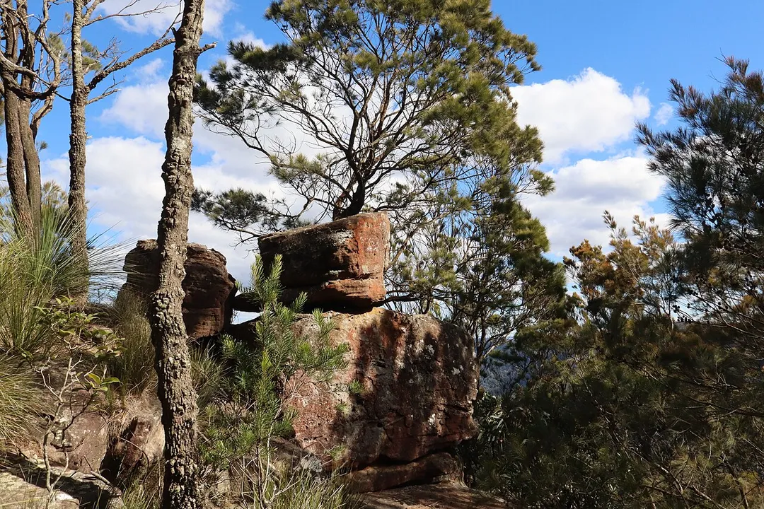 Boulders and trees near the summit of Mount Kembla, New South Wales, Australia