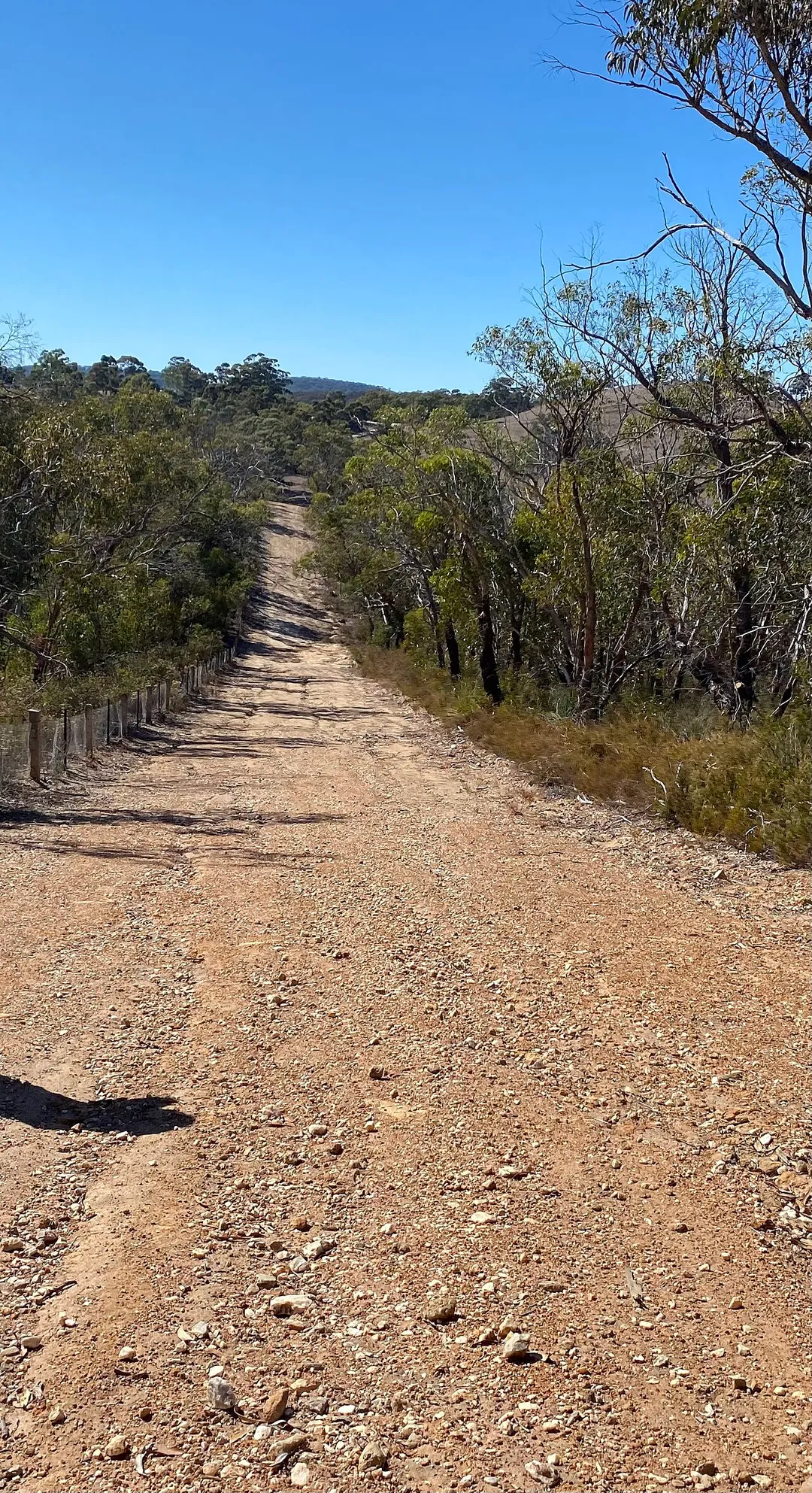 Fire Track 15 towards B34 Warren Road near Hale Conservation Park