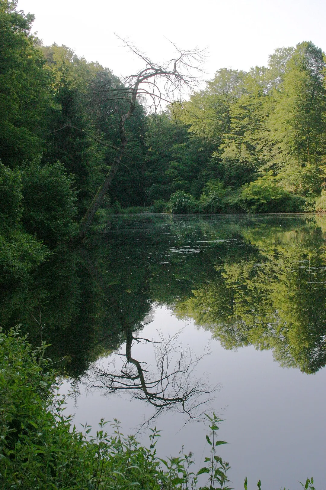 Waschtal in Münchweiler an der Rodalb