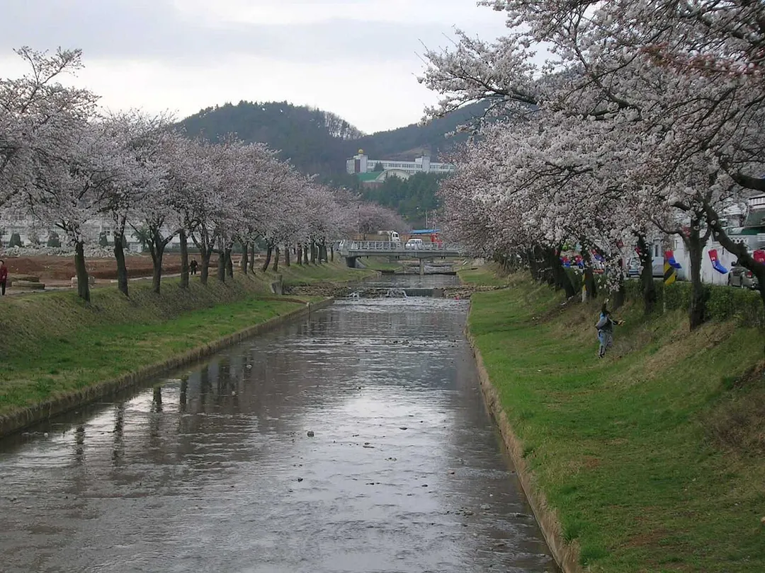 Mojeoncheon stream in Jeomchon, Mungyeong City, South Korea.  Taken by User:Visviva in spring 2005.