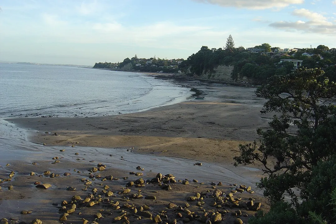 Murrays Bay at low tide - January 2009