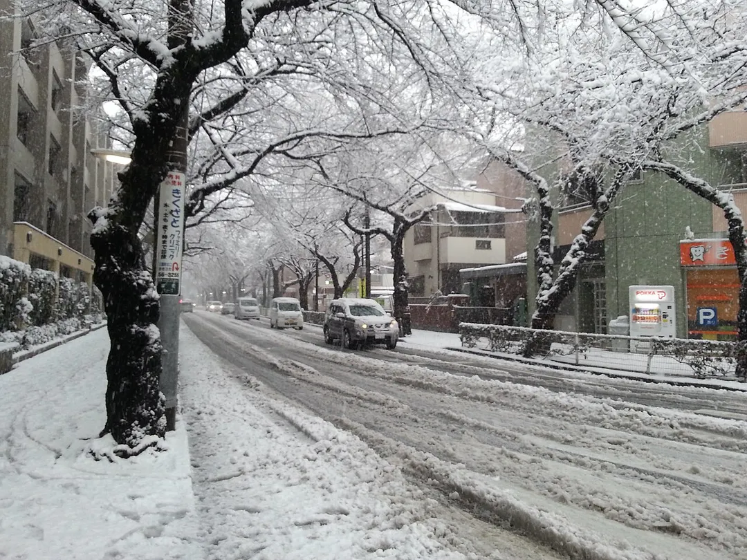 Itsukaichikaido, a boulevard in Musashino, on a snowy day.  Tokyo, Japan.