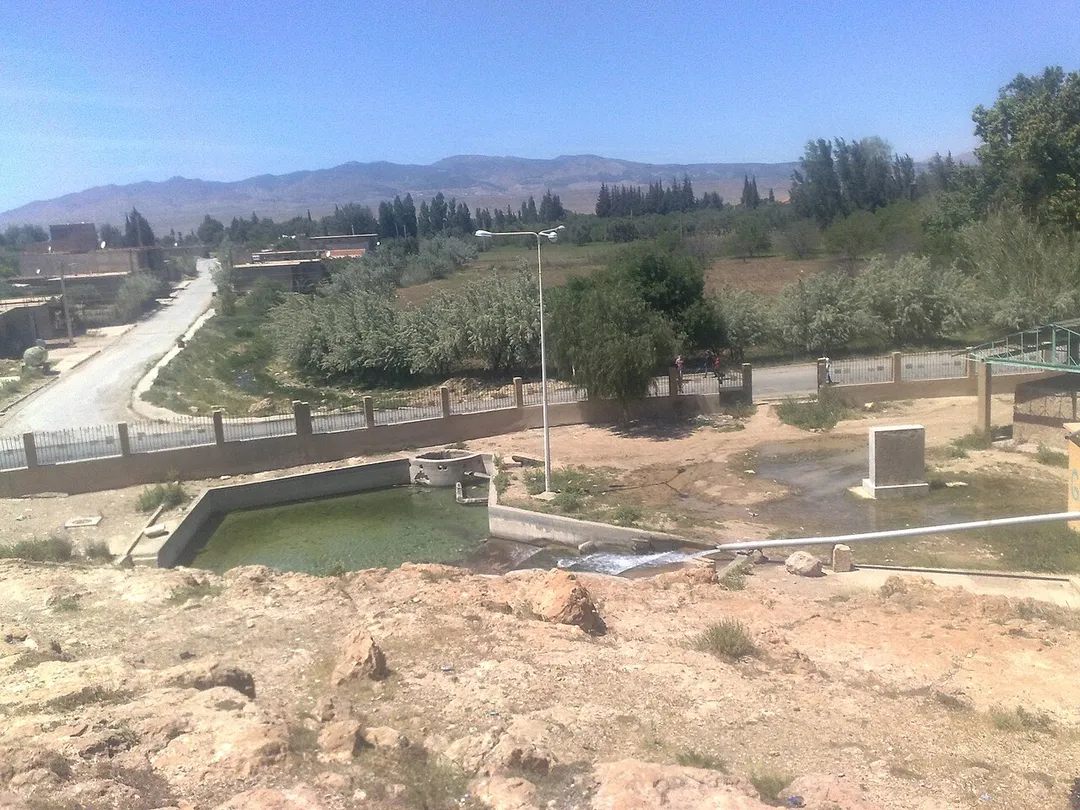 A view of RAS el-Ain, (source of water).
منظر لرأس العين (منبع للماء) بنقاوس