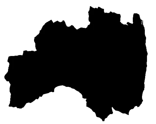 The shadow picture of Fukushima Prefecture, Japan