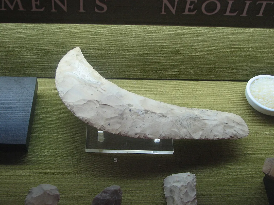 Dagon Museum, Downtown, Haifa, Israel
The Museum is dedicated to the history of grain product. Sickle made of flint, Egypt, Naqada period, end of the fourth millennium BC
מוזיאון דגון בעיר התחתית בחיפה שוכן במבנה המשרדים של ממגורות דגון. המוזיאון מוקדש לתולדות הדגן ומוצריו, וכלל ממצאים ארכאולוגים הקשורים בנושא וכן דגמים של מתקנים שונים בהם משתמשים בממגורות דגון

מגל עשוי צור, מצרים, תקופת נקאדה, סוף האלף הרביעי לפני הספירה