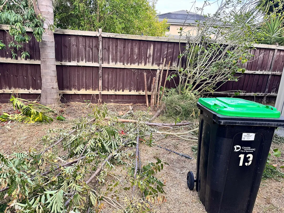 A tree falls in Narre Warren in Vic, Australia.