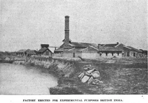 Photograph of Nawabganj Experimental Sugar Factory (1914-15)